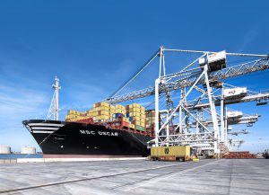 Mediterranean shipping company in rotterdam