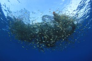 Depleting fish stocks fuels transnational crime