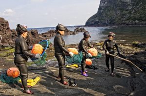 Korea’s warming ocean raises existential concern