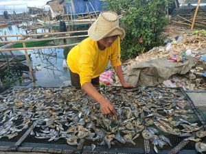 Philippine: Fisheries under threat from airport development
