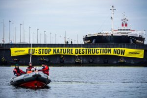 Greenpeace blocks mega soy ship at Port of Amsterdam for 18 hours