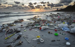 Global plastic waste set to almost triple by 2060, says OECD