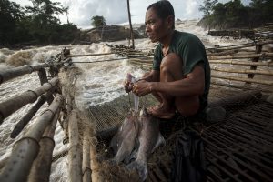 Mekong River faces existential threat from Chinese dams