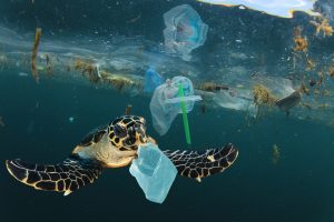 Reliance Games uses video games to raise awareness of plastic pollution