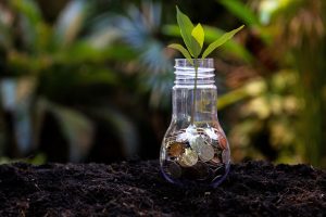 Plants growing in money coins in glass jar for investment planning travel and retirement.