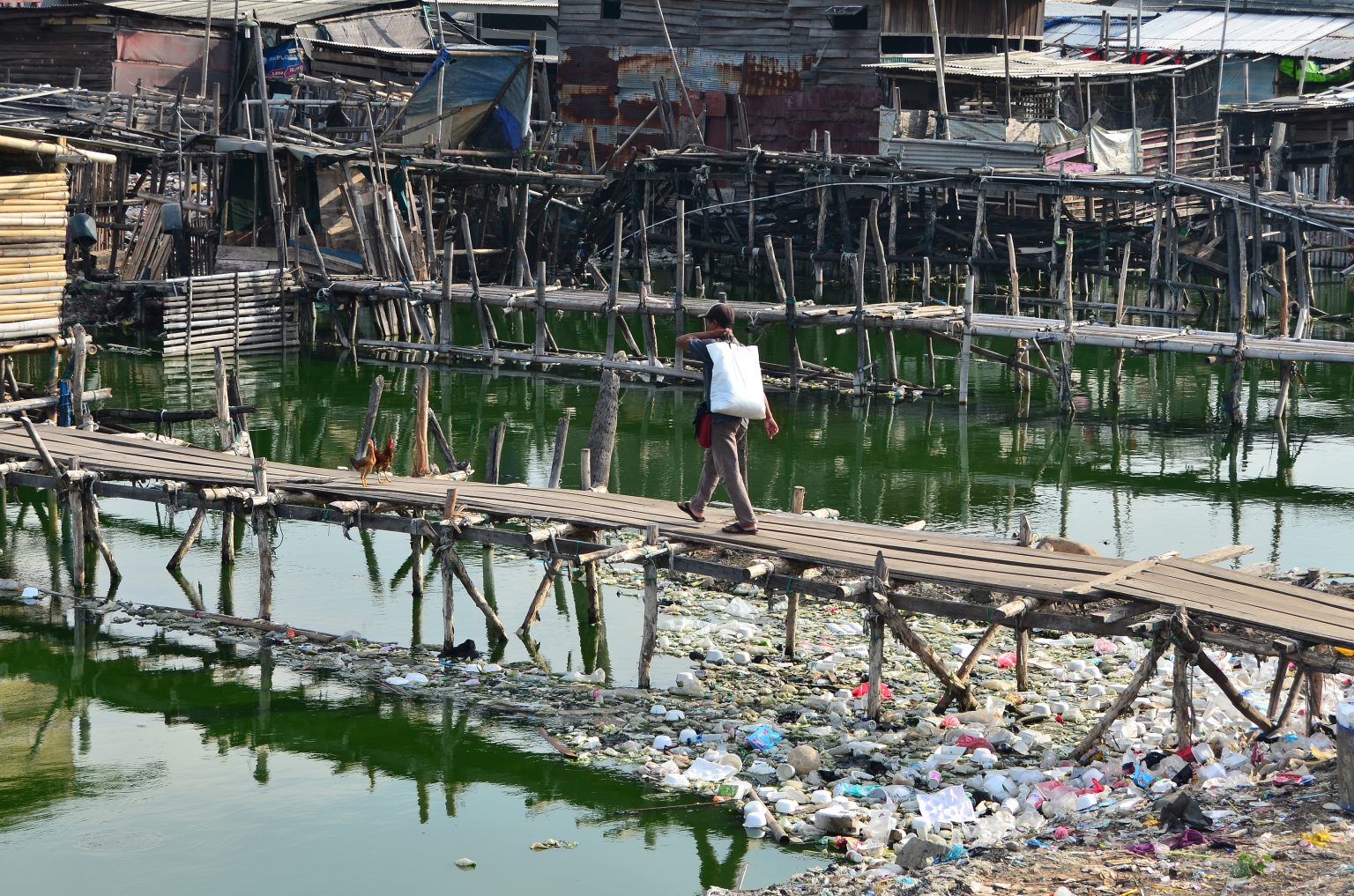 Rising Sea Contaminates Jakarta Groundwater Maritime Fairtrade