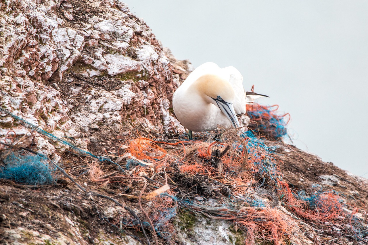 Plastic rubbish threatens Indonesia’s marine tourism