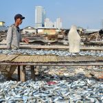 Buying fish online takes off in Indonesia