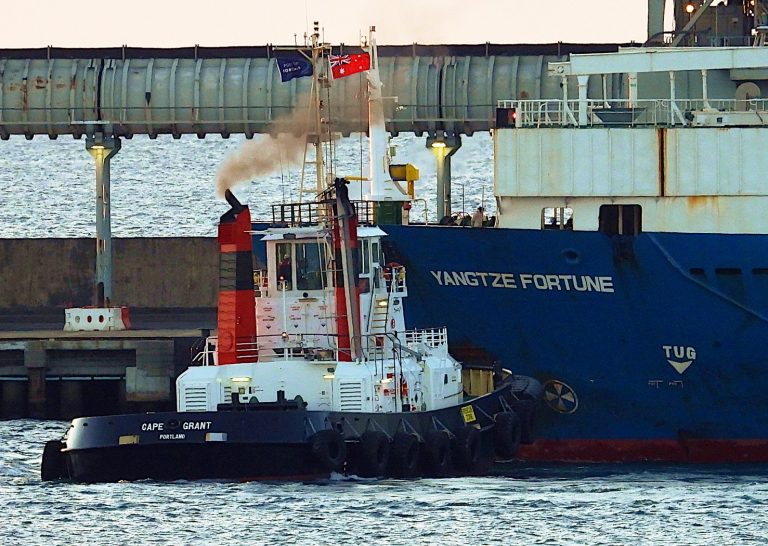 Chinese livestock vessel owner abandons ship, Filipino crew in Australia