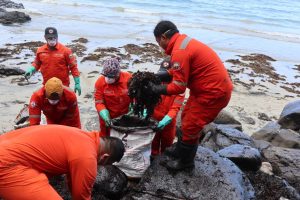 Oil spill from sunken tanker threatens lives, livelihood of 23,000 families