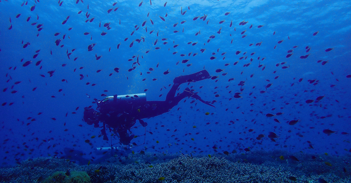 Dr. Aziz J Mulla - underwater swimming with fishes and checking the coral reef