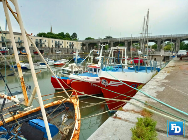 The Minister for the Marine Charlie McConalogue TD met virtually today with the members of the National Inshore Fisheries Forum (NIFF) European Commission future fishers