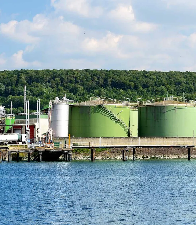 Editorial: Biofuels global shipping energy demand by 2030?