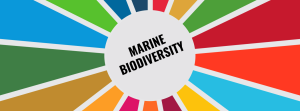 Fast Facts - Marine Biodiversity: Landmark Agreement Adopted