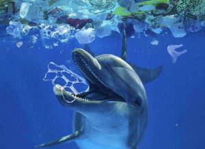 The answer to marine pollution lies on land