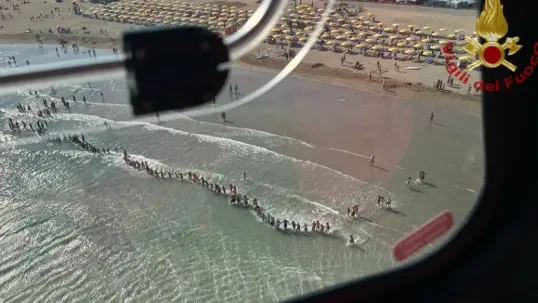 Six-year-old boy disappears at sea; human chain formed to search for missing boy