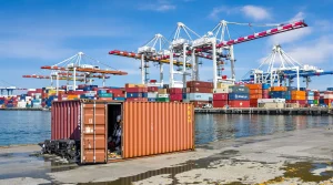 Port Corruption Challenges Rule of Law in Antwerp