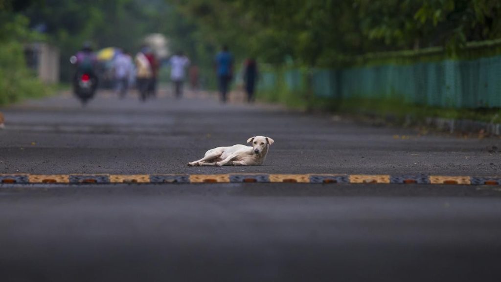 Insights Daily Current Affairs – 1 December 2025