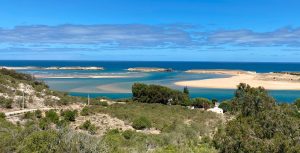 Interview with Virginijus Sinkevičius, European Commissioner for the Environment, Ocean and Fisheries