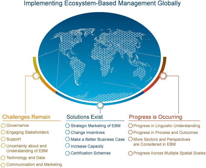Marine ecosystem-based management: challenges remain, yet solutions exist, and progress is occurring