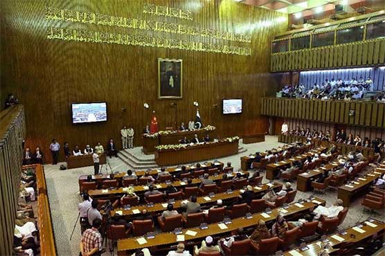 Senate body reviews controversial sale of 500 acres of land at Port Qasim