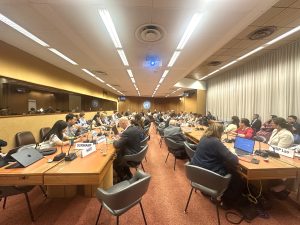 UN HRC59 Geneva: Discussing the Geneva Declaration on Human Rights at Sea
