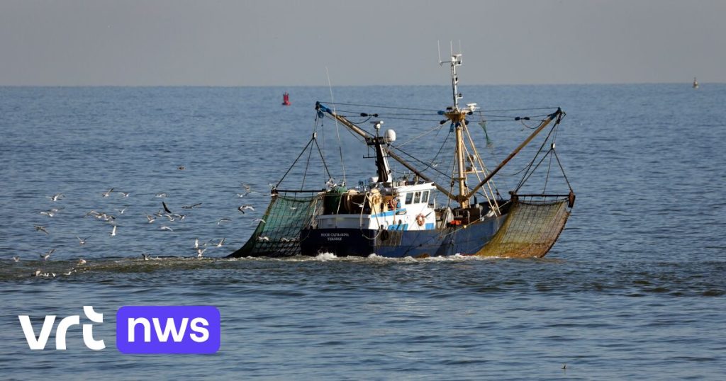 North Sea becoming increasingly ‘Mediterranean’: warmest ever water temperatures measured in 2025